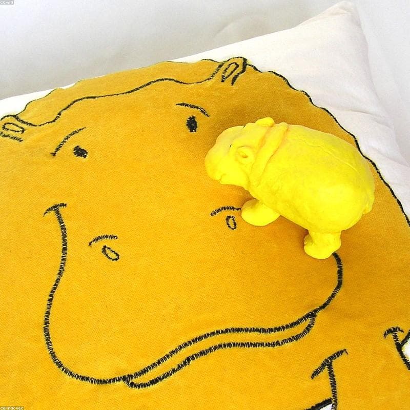 Coussin Décoratif 2